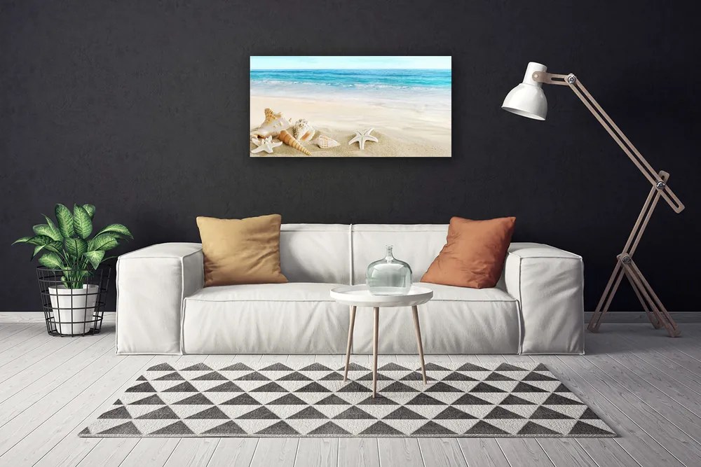 Stampa quadro su tela Stelle marine di conchiglie 140x70 cm