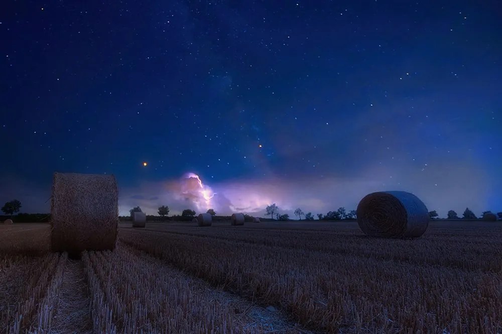 Carta da parati – Fieno al chiaro di luna