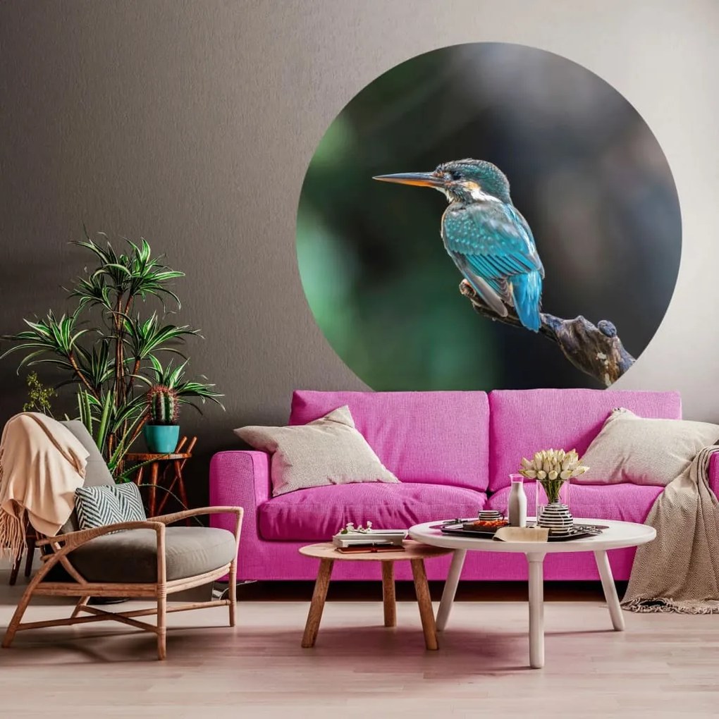 Cerchio Carta Da Parati The Kingfisher 142,5 Cm /