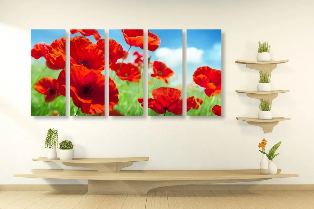 Quadri 5 pezzi – Fiori di papavero nel prato