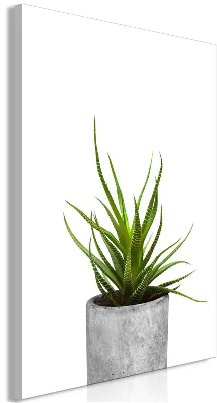 Quadro Haworthia (1 Part) Vertical