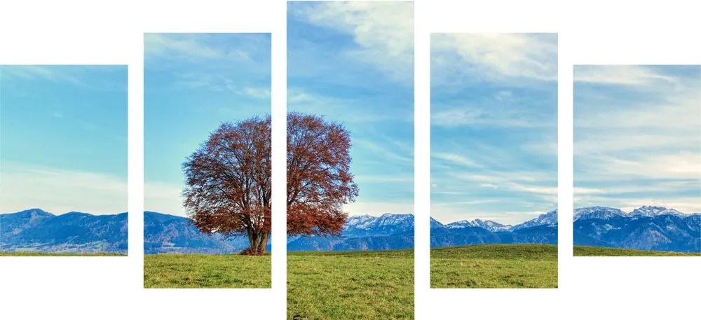 Quadri 5 pezzi – Panorama montano