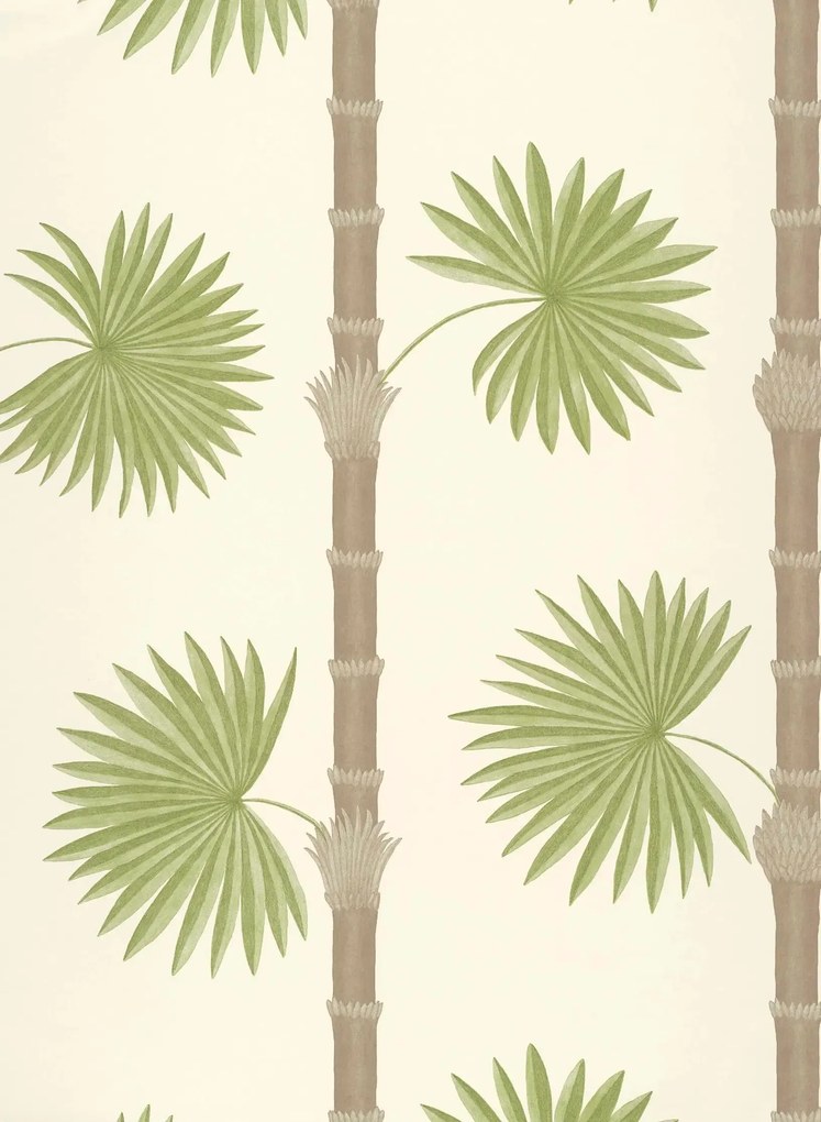 Paint & Paper Library Carta da parati Hardy Palm - Sand 3