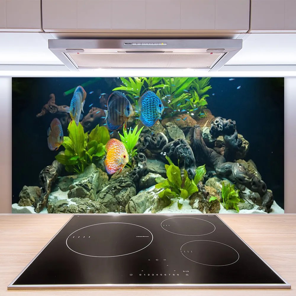 Pannello cucina paraschizzi Pesce d'acquario naturale 100x50 cm