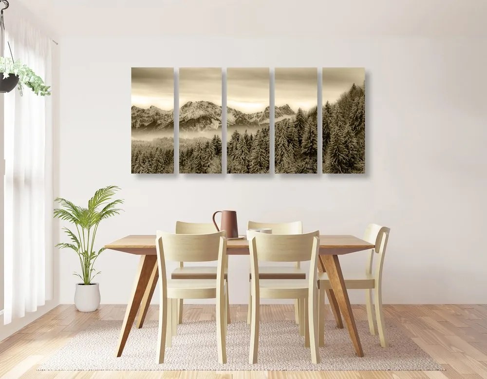 Quadri 5 pezzi – Montagne congelate in versione seppia