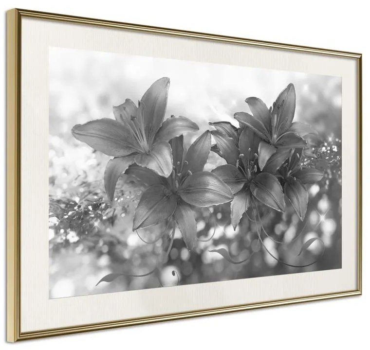 Poster  Dark Lillies  Cornice Quadri Cornice d'oro con passe-partout, Larghezza x Altezza Home decor 45x30