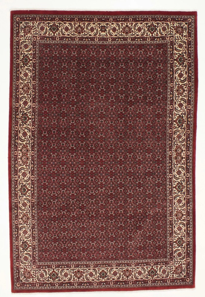 Bidjar Tappeto 310 x 210 (Iran) Annodato A Mano
