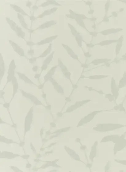 Harlequin Carta da parati Chaconia Shimmer - Sand