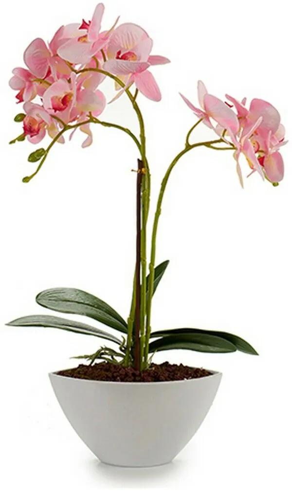 Pianta Decorativa Orchidea 16 x 49 x 28 cm Plastica (4 Unità)