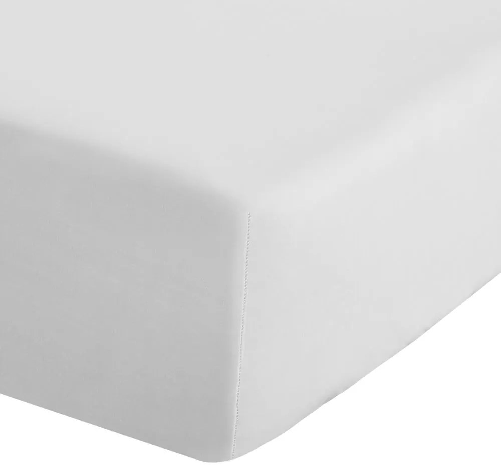 Lenzuolo con angoli bianco in percalle 90x190 cm Easy Iron Percale – Catherine Lansfield