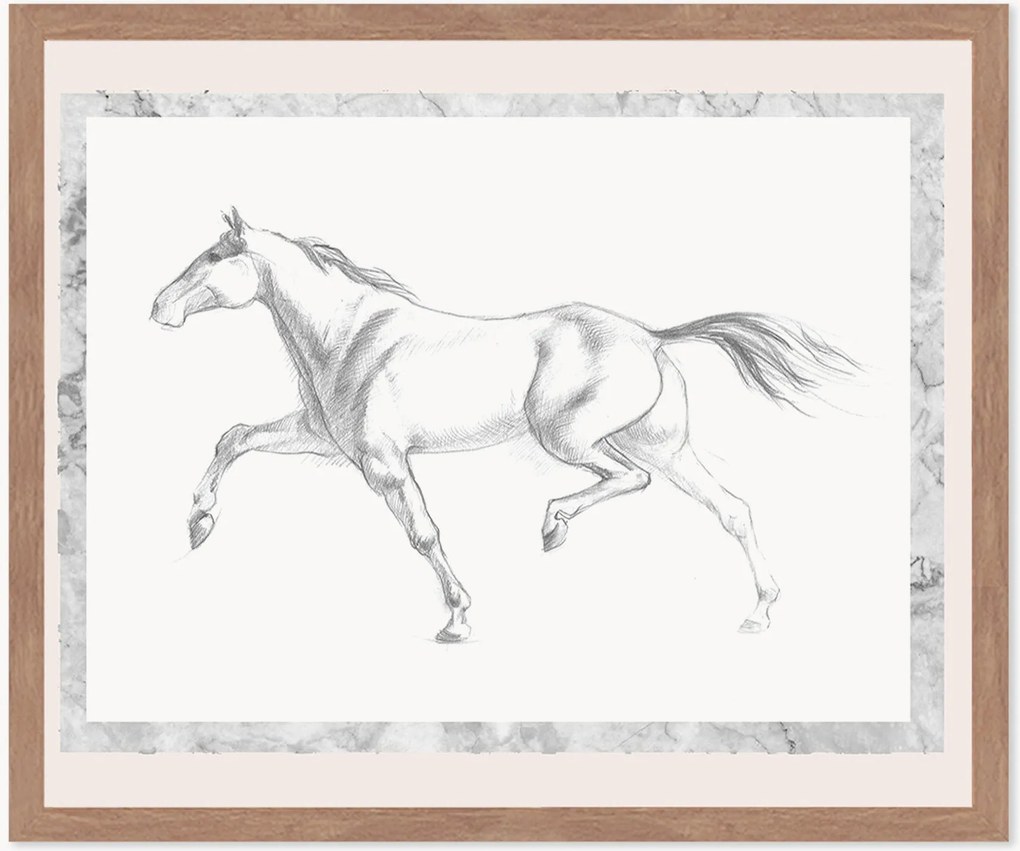 Stampa digitale incorniciata Single Horse, varie misure