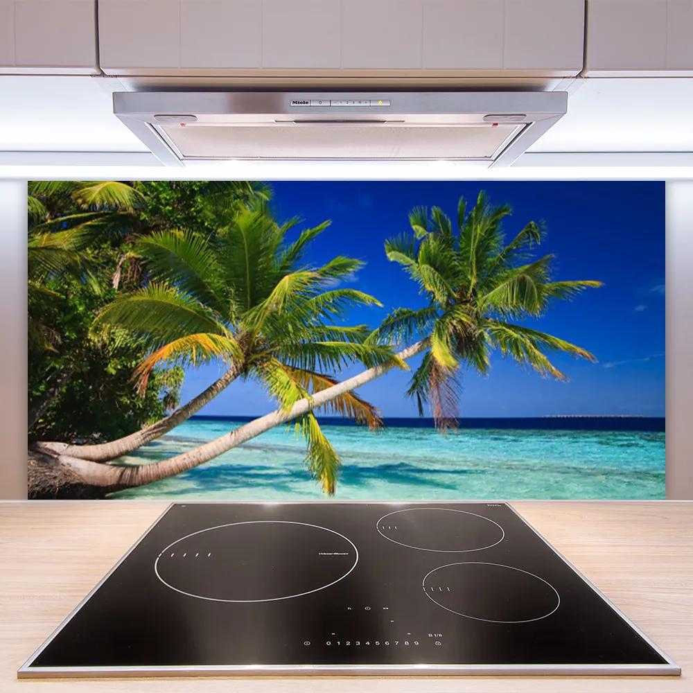Rivestimento parete cucina Paesaggio del mare della palma 100x50 cm