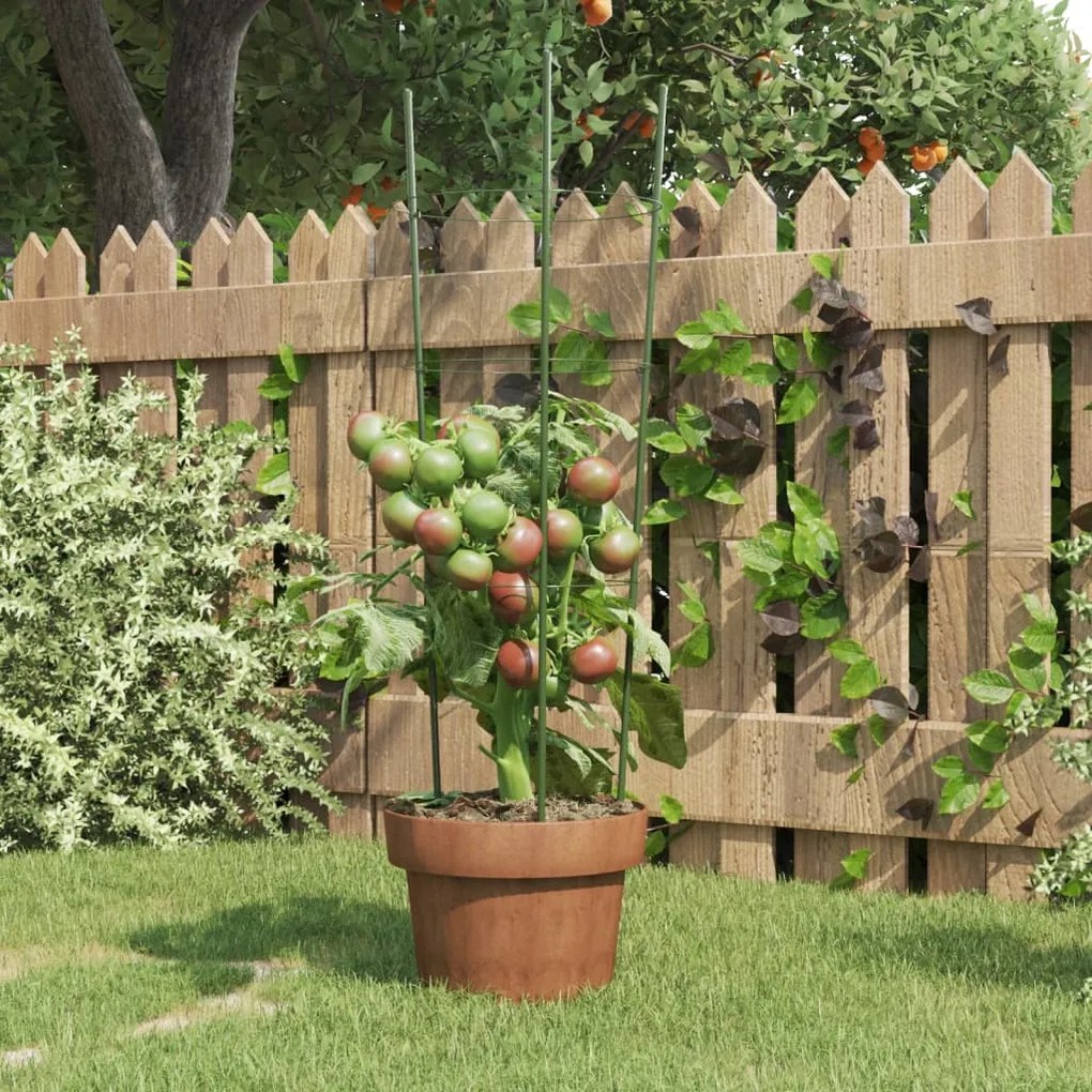 Supporti Piante Da Giardino Con 3 Anelli 5pz Verde 60cm Acciaio /