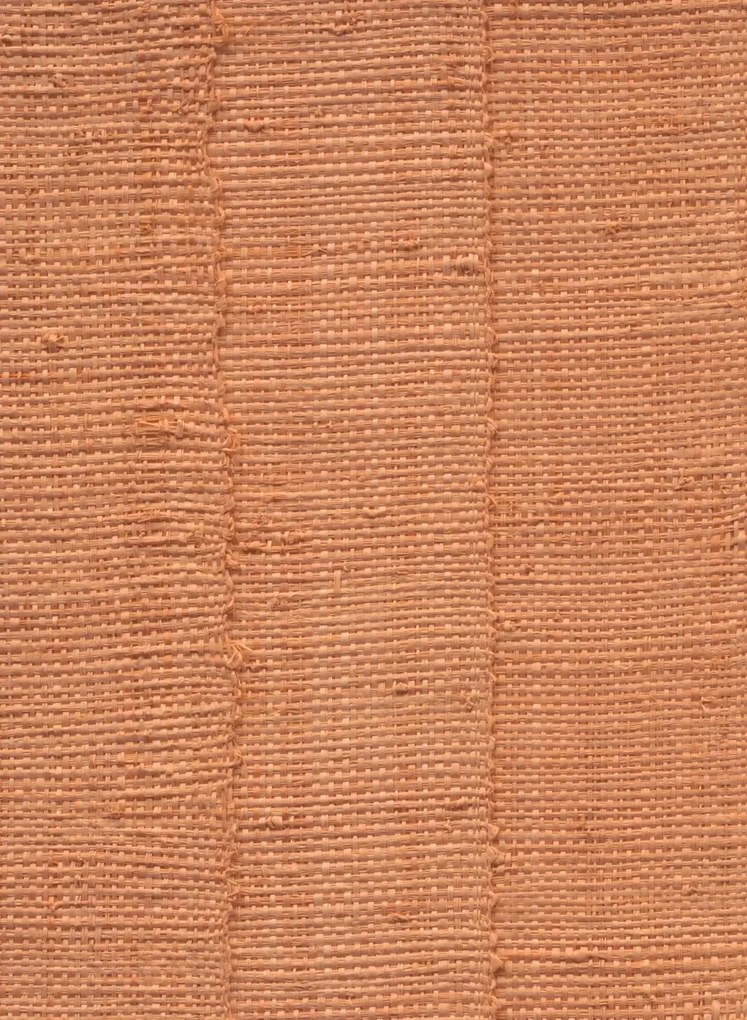 Arte Carta da parati Farini - Tangerine