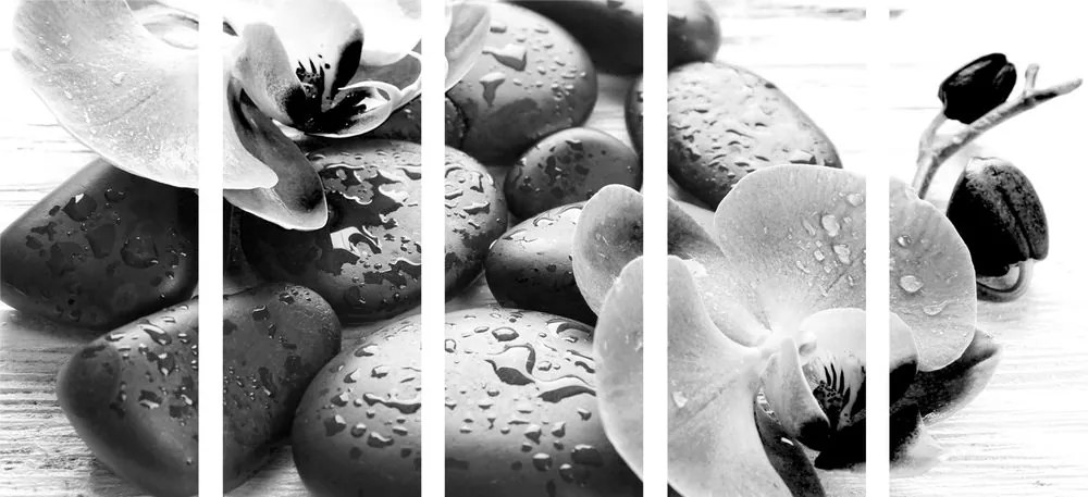 Quadri 5 pezzi – Armonia di pietre e orchidea in bianco e nero