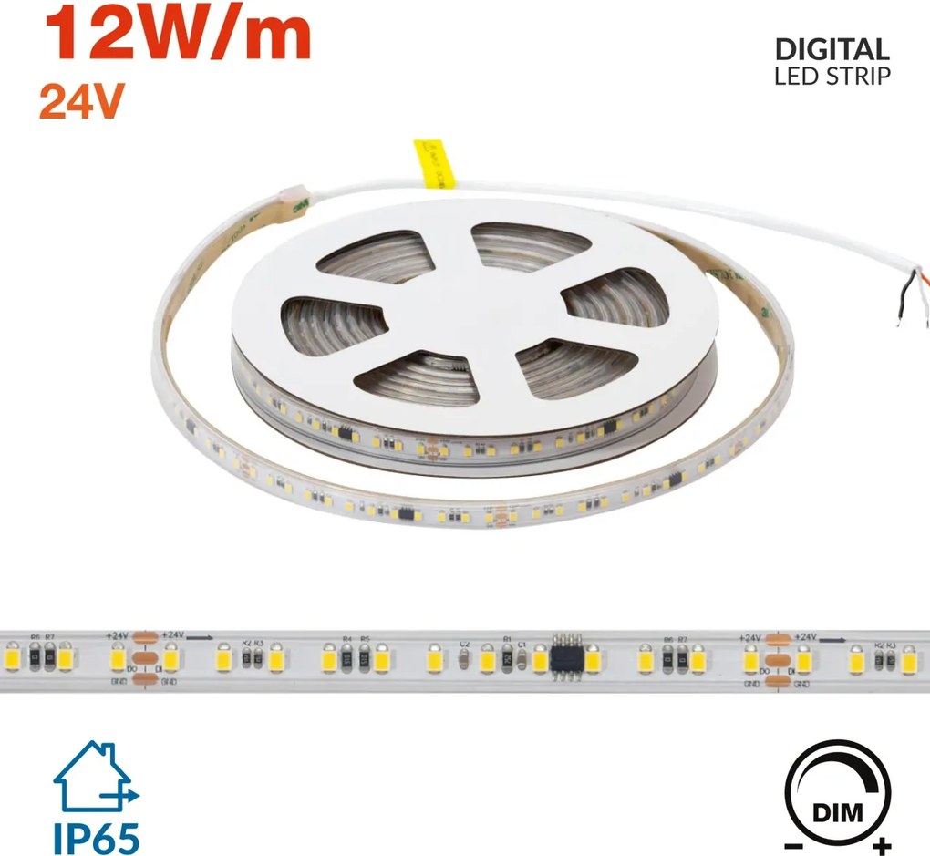 Striscia LED Digitale 24V 12W/m RUNNING Professionale IP65 - 5 metri