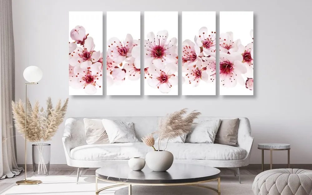 Quadri 5 pezzi – Fiori di ciliegio