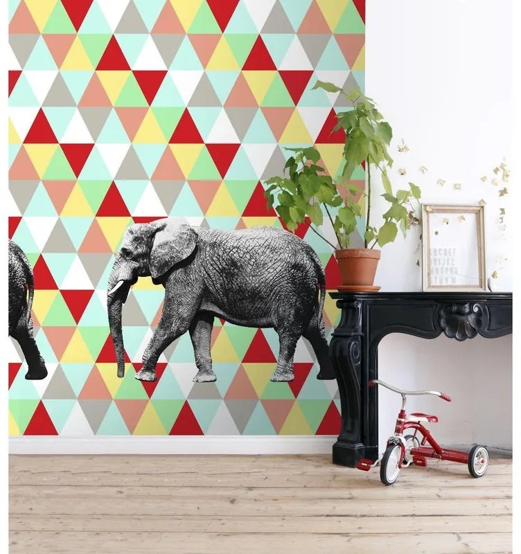 Fotomurale Elefante, multicolor 186 x 280 cm