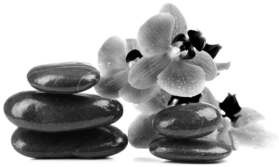 Carta da parati – Pietre bianco e nero e orchidea