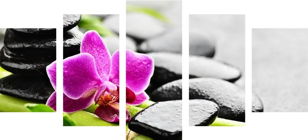 Quadri 5 pezzi – Natura morta wellness con orchidea viola