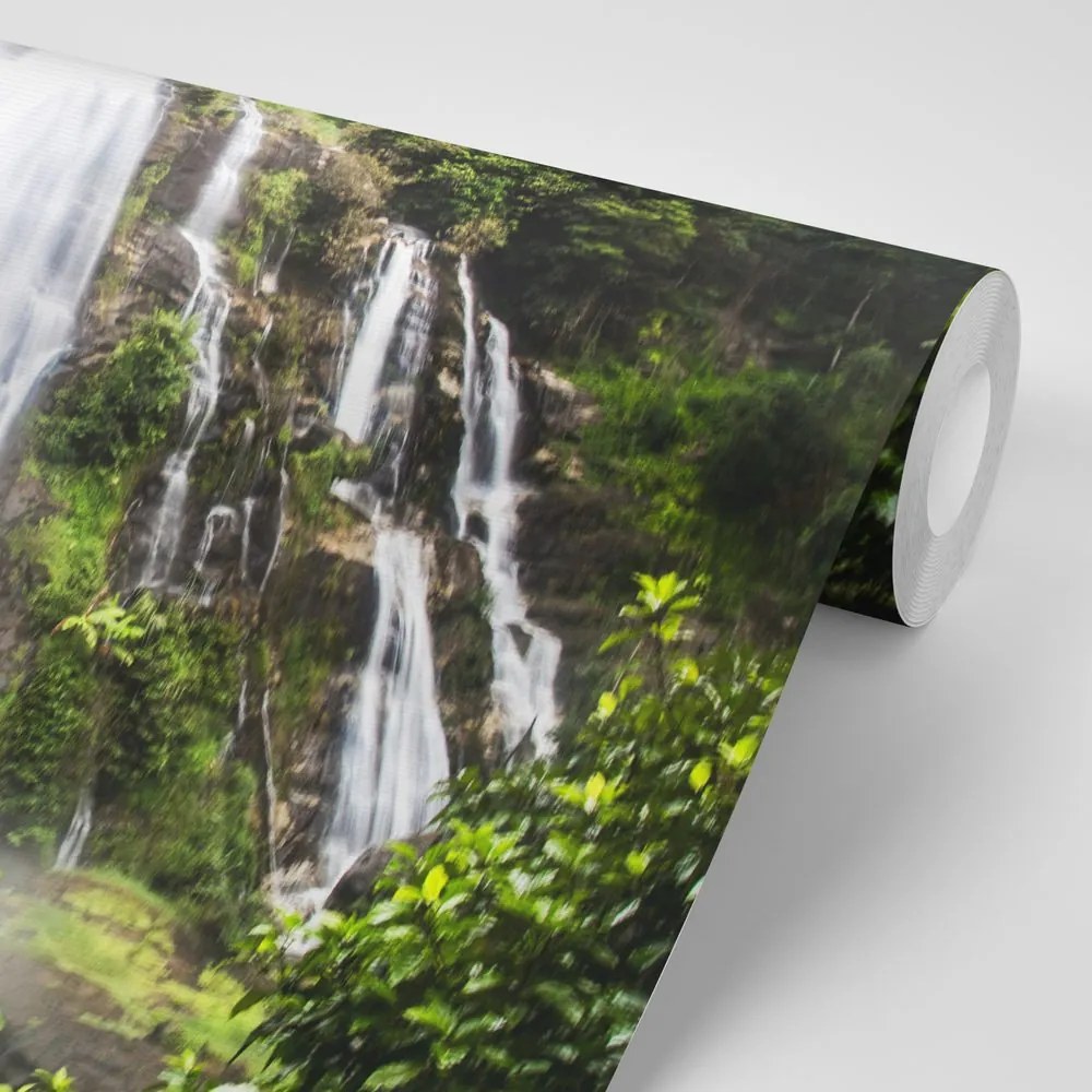Carta da parati – Meraviglia della natura