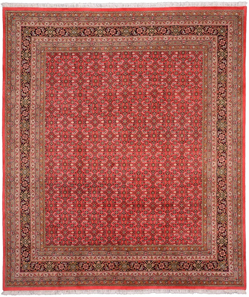 Bidjar Tappeto orientale 250x300 Rosa (Indian) Annodato A Mano