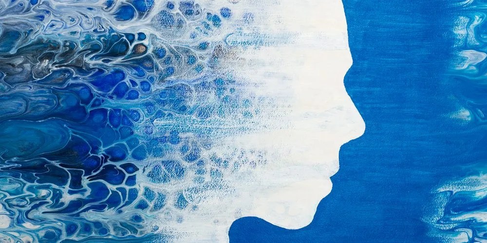 Stampa su tela – Profilo astratto di donna