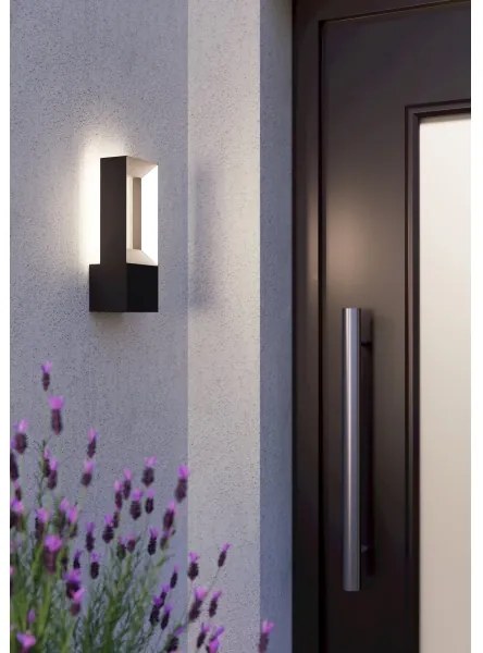 Eglo 98725 - Applique LED da esterno RIFORANO 2xLED/5W/230V IP44