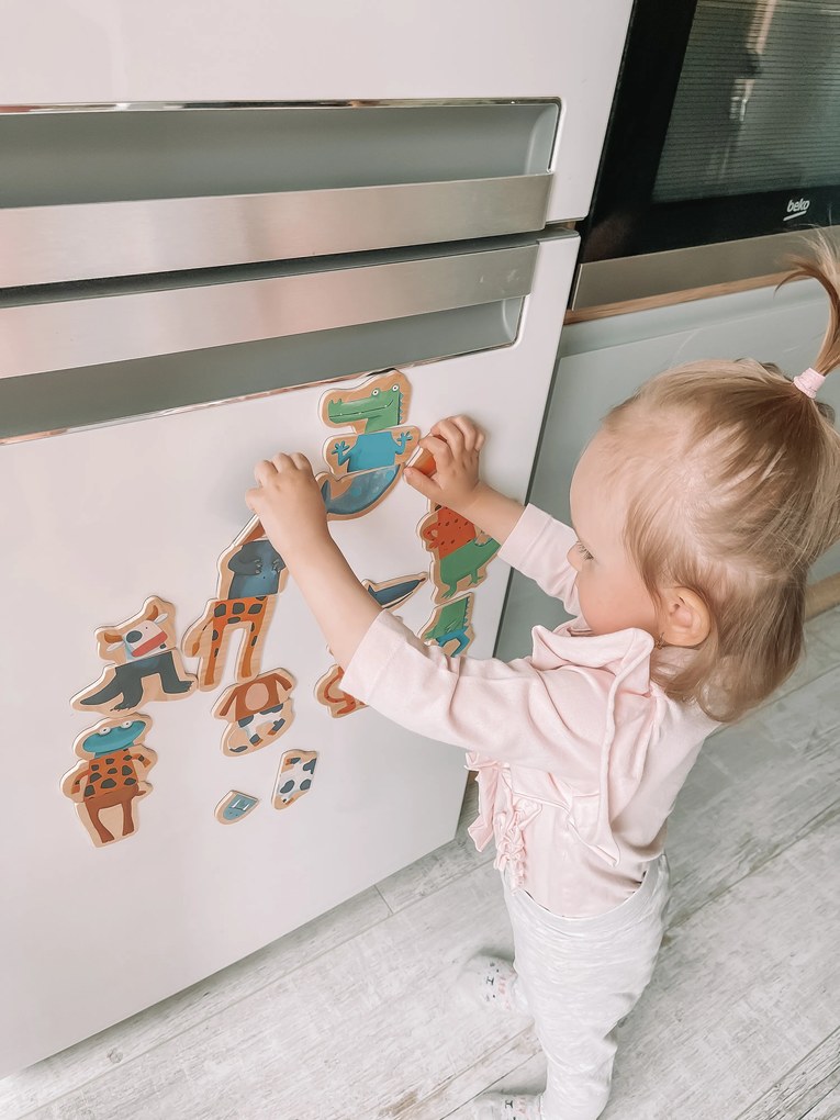 Animali magnetici in tre pezzi