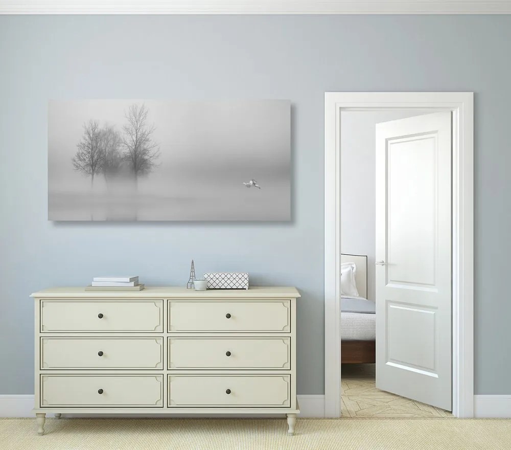 Quadro su tela – Alberi nella nebbia in bianco e nero