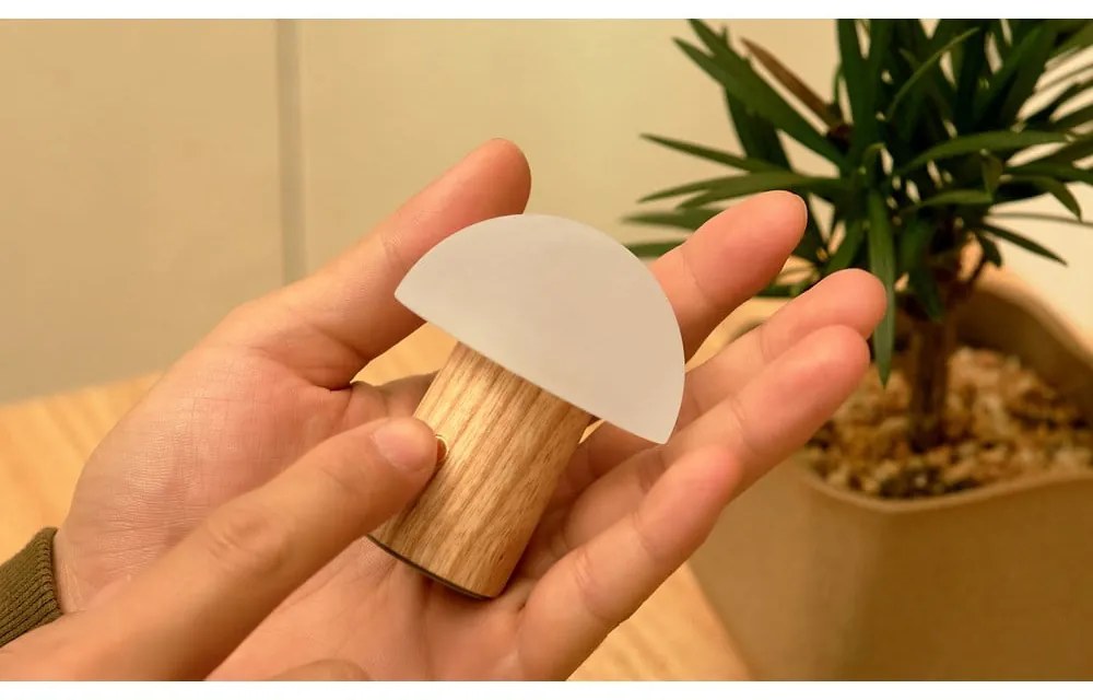 Lampada da tavolo con intensità regolabile di colore naturale in frassino massiccio (altezza totale 7 cm) Alice – Gingko