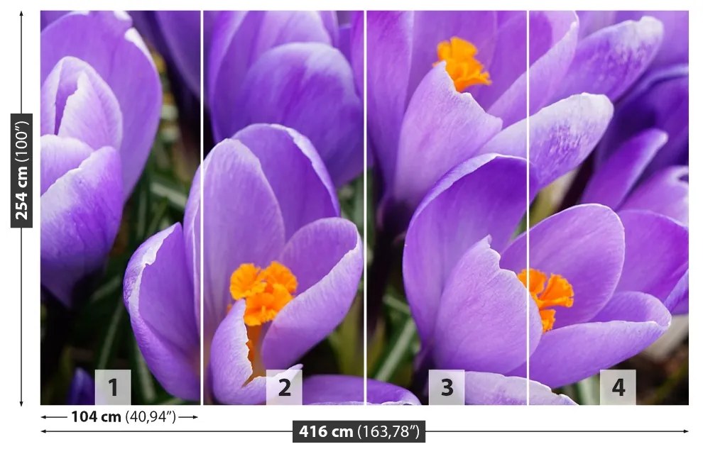 Carta da parati Crocus viola 104x70 cm