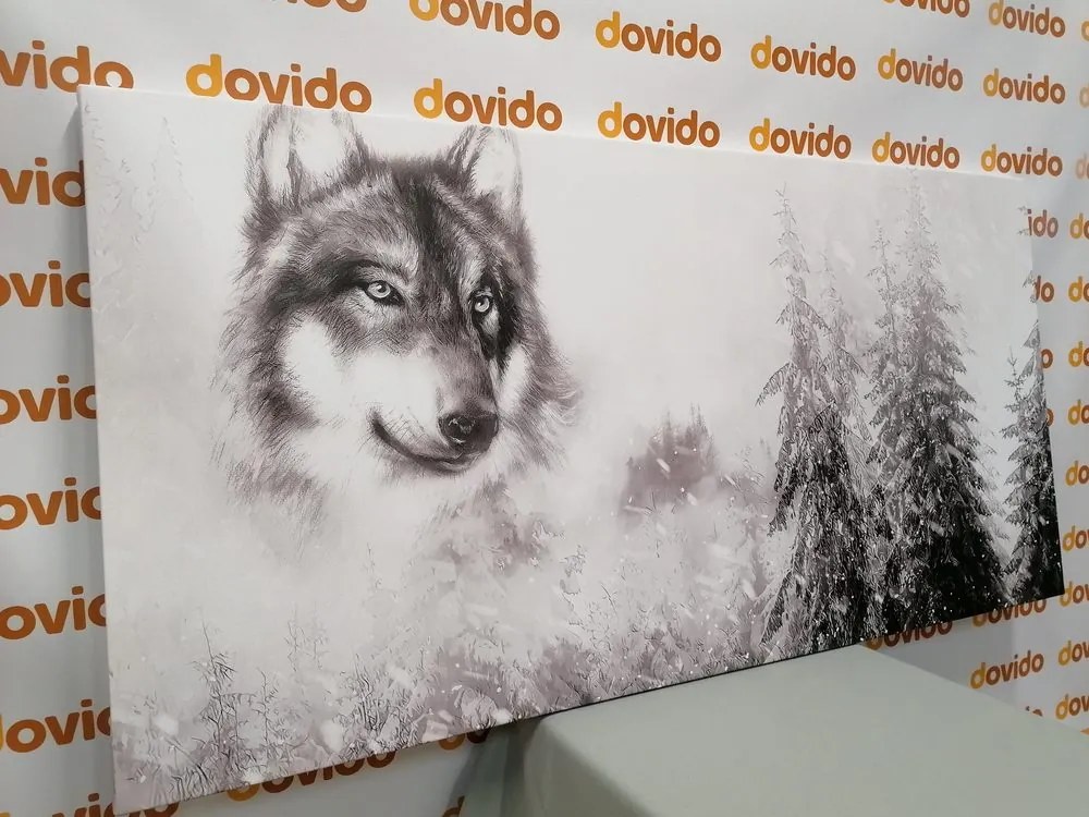 Quadro su tela – Lupo nel paesaggio innevato in bianco e nero