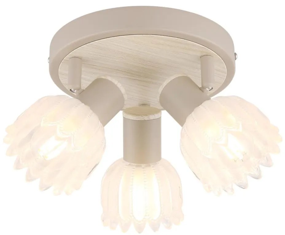 Globo 54317-3 - Faretto PLANTA 3xE14/40W/230V