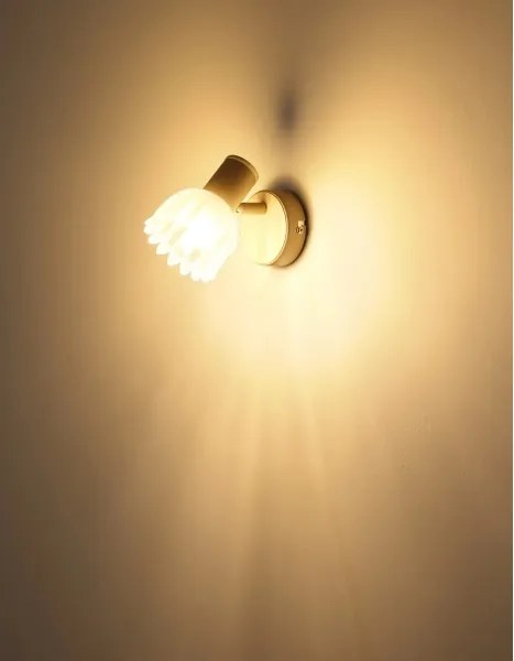 Globo 54317-1 - Faretto da parete PLANTA 1xE14/40W/230V