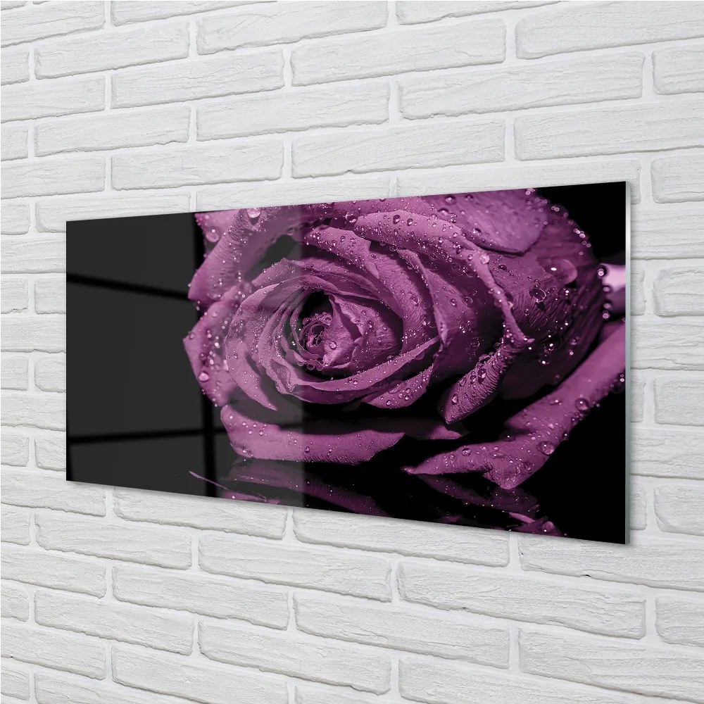 Quadro vetro acrilico Rosa viola 100x50 cm