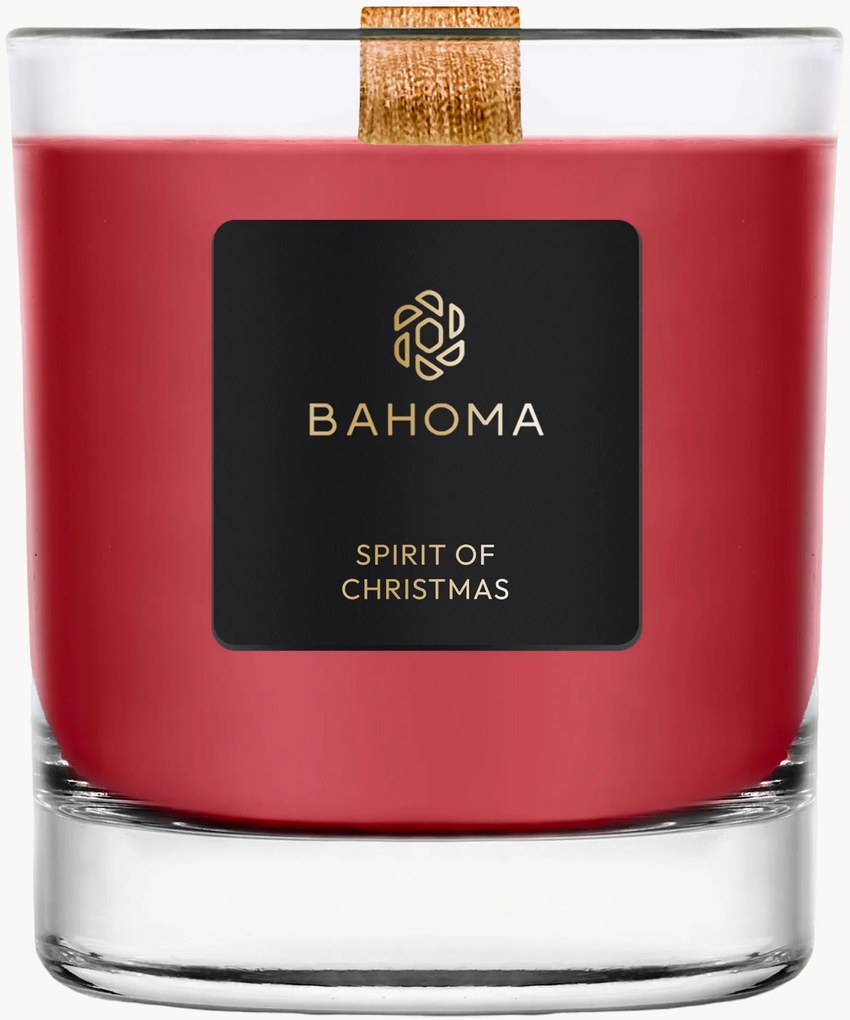 Candela profumata fatta a mano Sprit of Christmas (ribes, chiodi di garofalo & ambra)