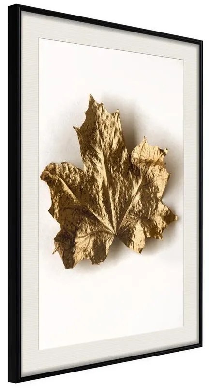 Poster  Dried Maple Leaf  Cornice Quadri Cornice nera con pass-partout, Larghezza x Altezza Home decor 30x45