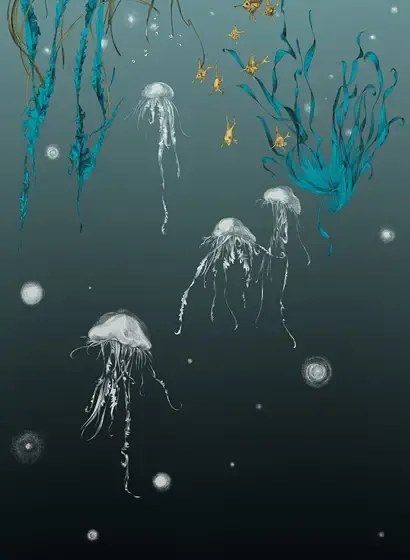 Edmond Petit Carta da parati Nautilus/ Méduses/ Nénuphars - Noir - Méduses gauche - Noir