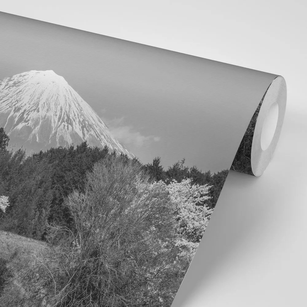 Carta da parati autoadesiva – Monte Fuji in bianco e nero