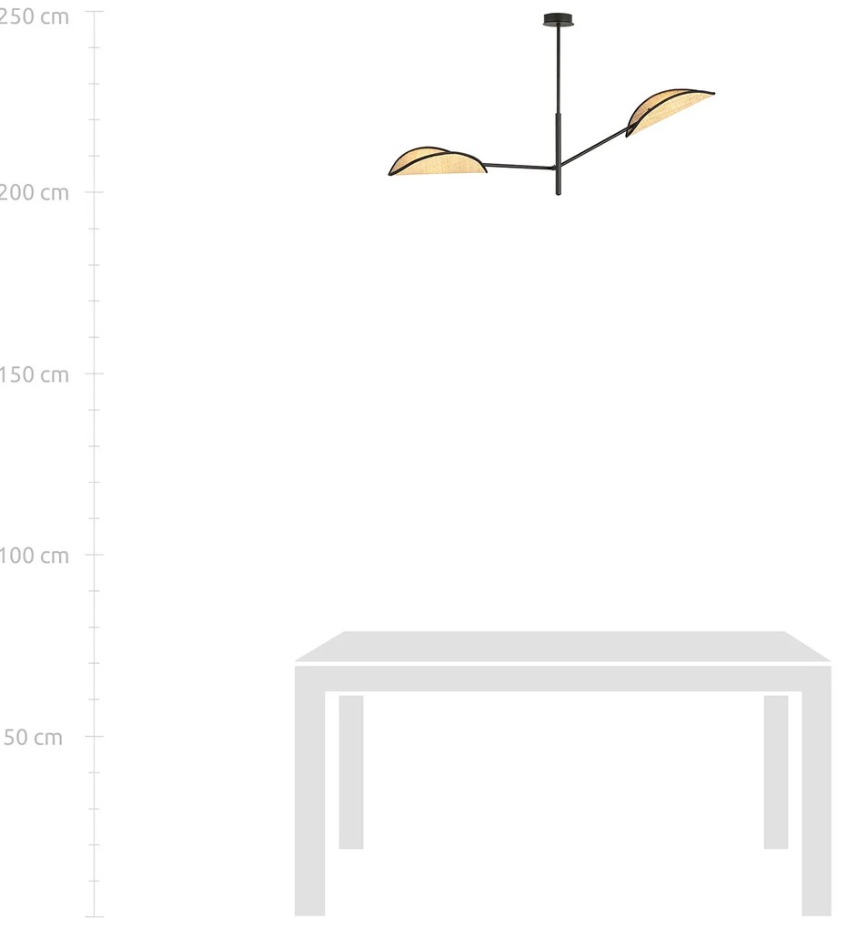 Lampadario 2 Luci Eridano In Acciao Nero E Rattan Con Bracci Mobili