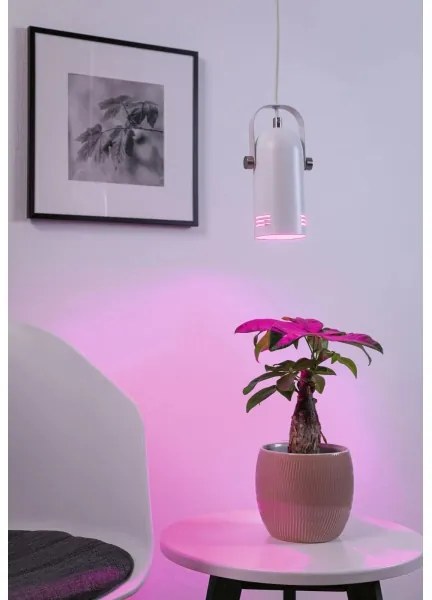 Paulmann 79767 - 1xE27/15W Lampadario a sospensione con cavo LAVEA 230V bianco