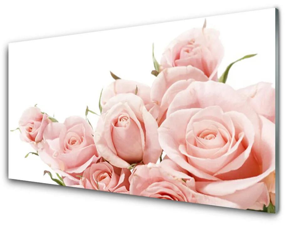 Quadro in vetro acrilico Rose, fiori, piante 100x50 cm
