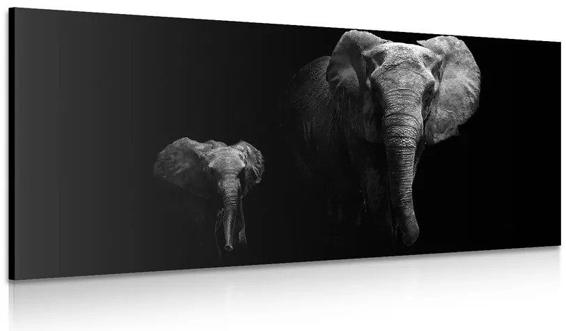 Quadro su tela – Piccolo elefante e elefantessa