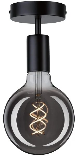 Paulmann 79760 - Plafoniera HALDOR 1xE27/20W/230V