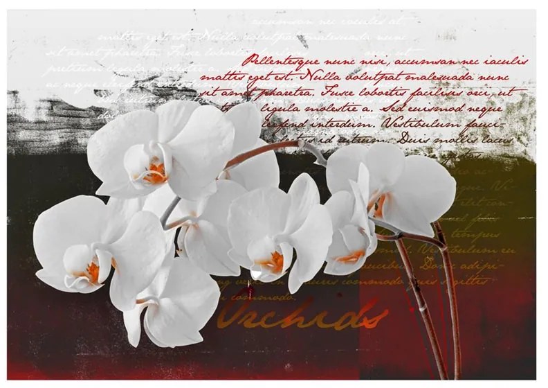 Fotomurale  Diario e orchidea  Colore Viola, Dimensioni e Misure 200x140