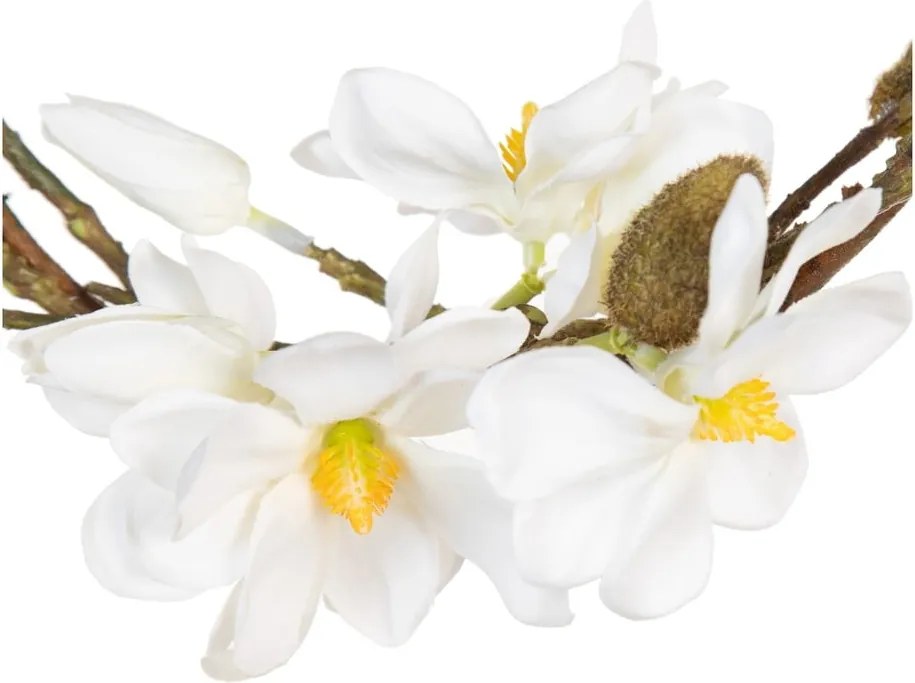 Ghirlanda di fiori Magnolia - Ixia