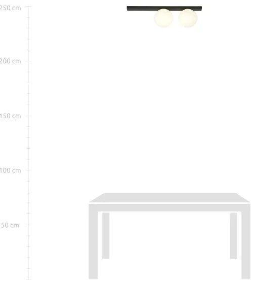 Plafoniera FIT 2xE14/10W/230V nero/bianco