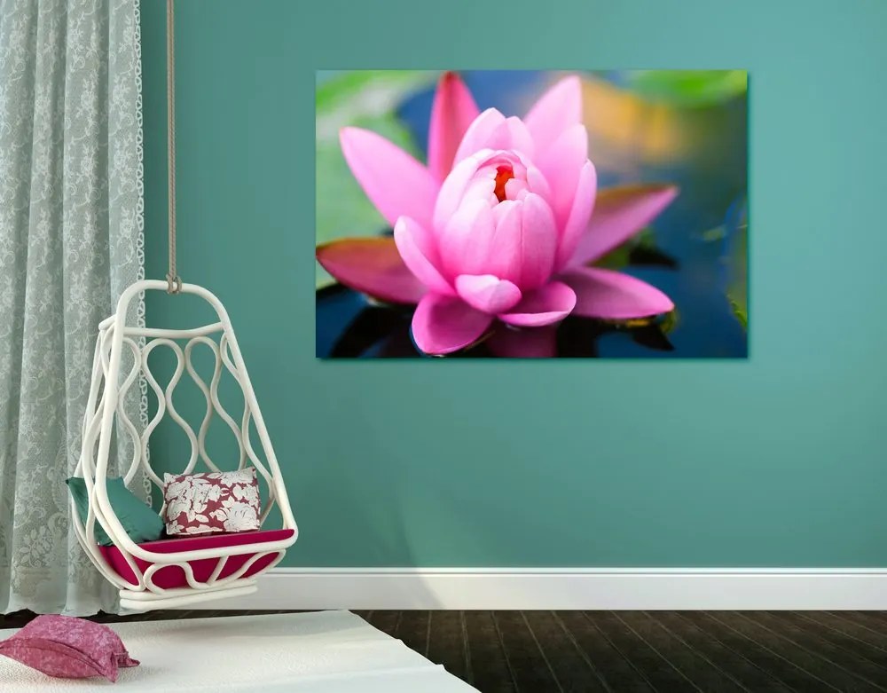 Quadro su tela – Splendido fiore rosa sul lago