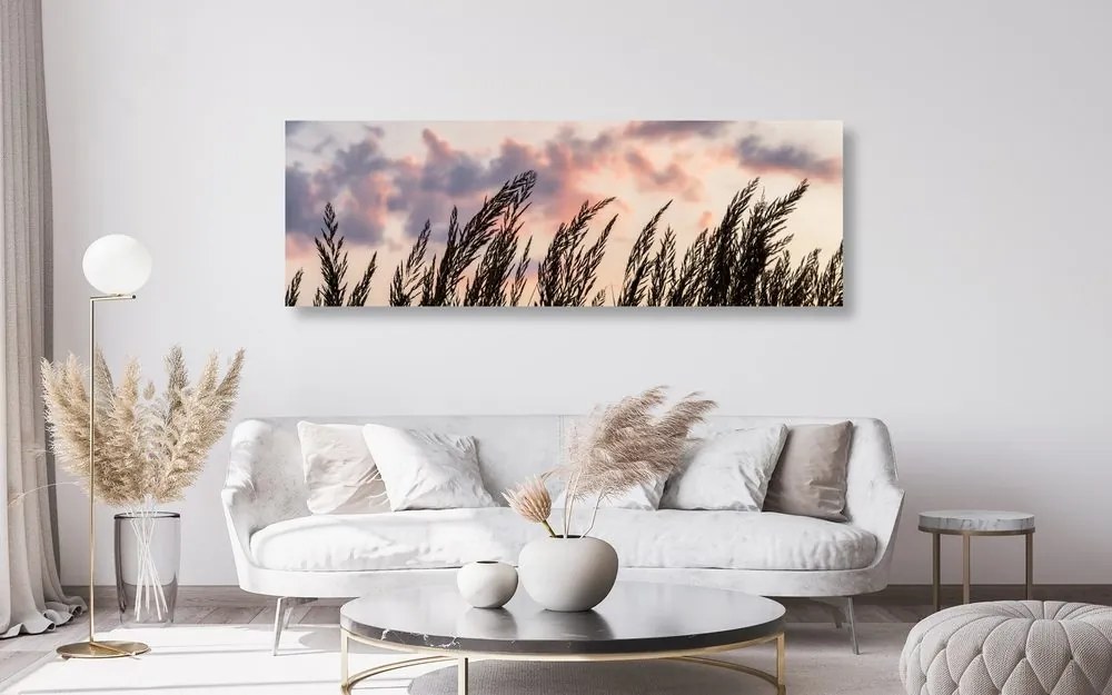 Quadro su tela – Spighe di erba lunga